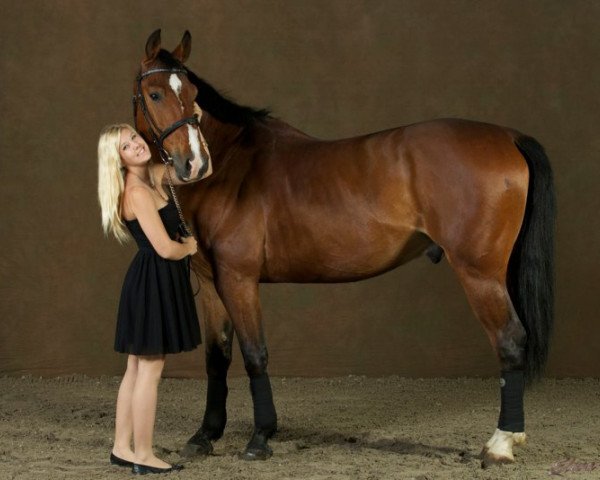 jumper Cajeron (Polish Warmblood, 2006, from Cajero)