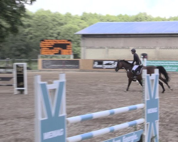 Reitturnier Hohen-Wangelin/OT Cramon 2022