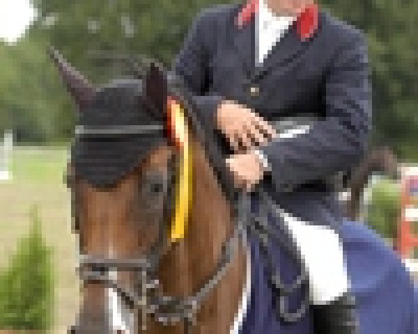 broodmare Retina V (Holsteiner, 2001, from Caretino)