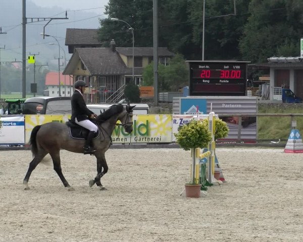 Reitturnier Schüpfheim 2022