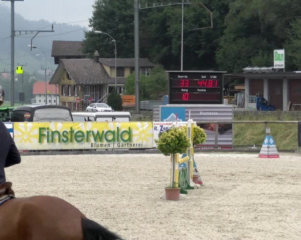 Reitturnier Schüpfheim 2022