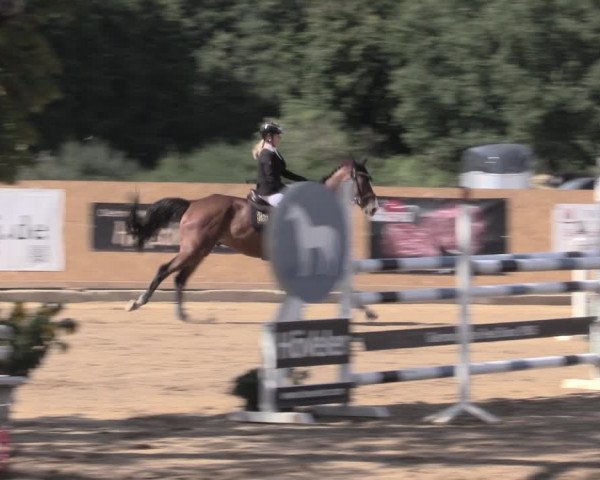 Reitturnier Hohen-Wangelin/OT Cramon 2022