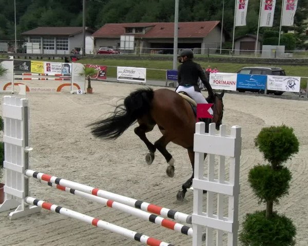 Reitturnier Schüpfheim 2022