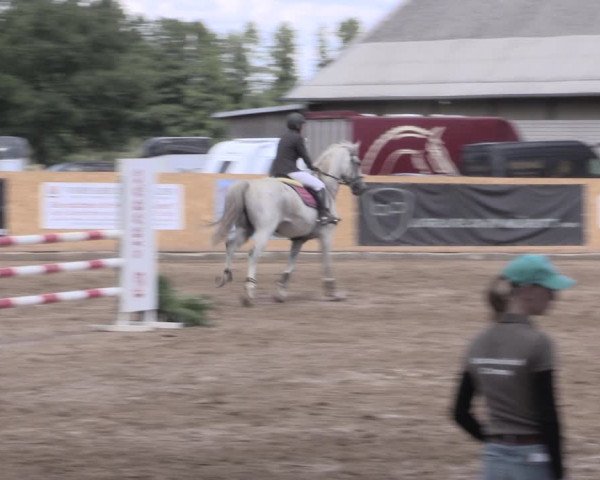 Reitturnier Hohen-Wangelin/OT Cramon 2022