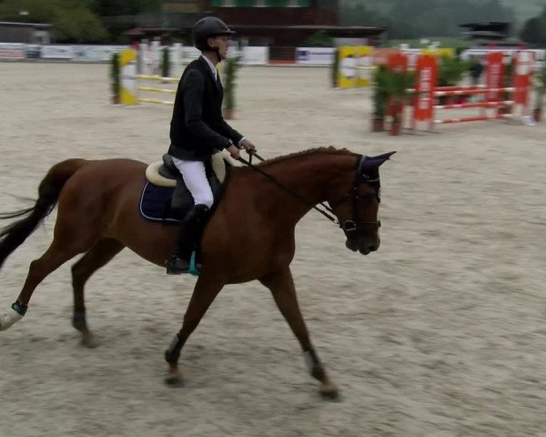 Reitturnier Schüpfheim 2022