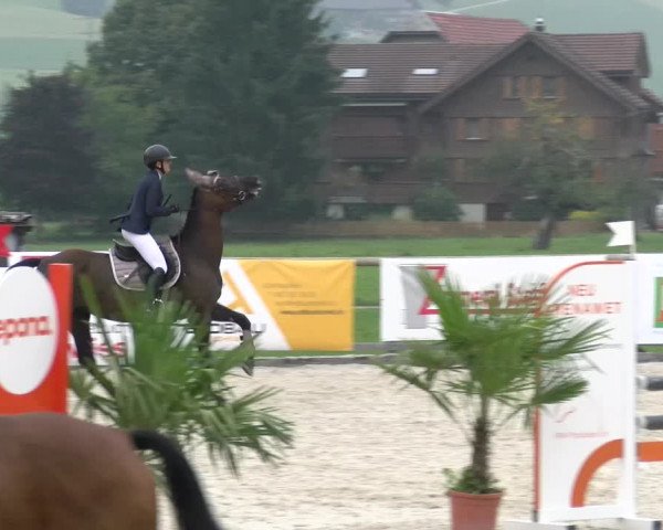 Reitturnier Schüpfheim 2022