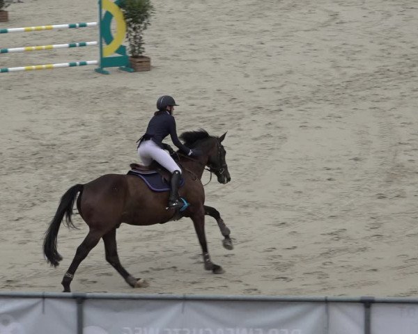 Reitturnier Wildeshausen 2022