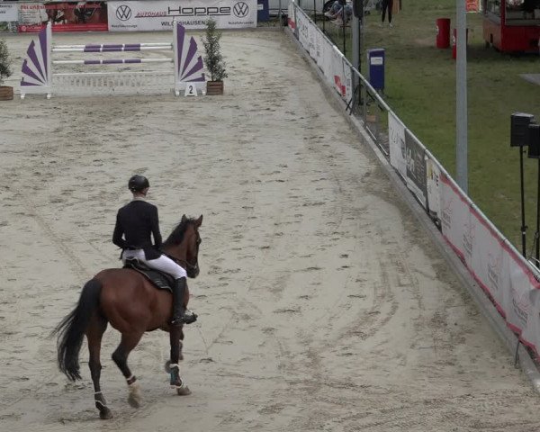 Reitturnier Wildeshausen 2022