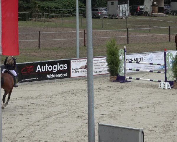 Reitturnier Wildeshausen 2022