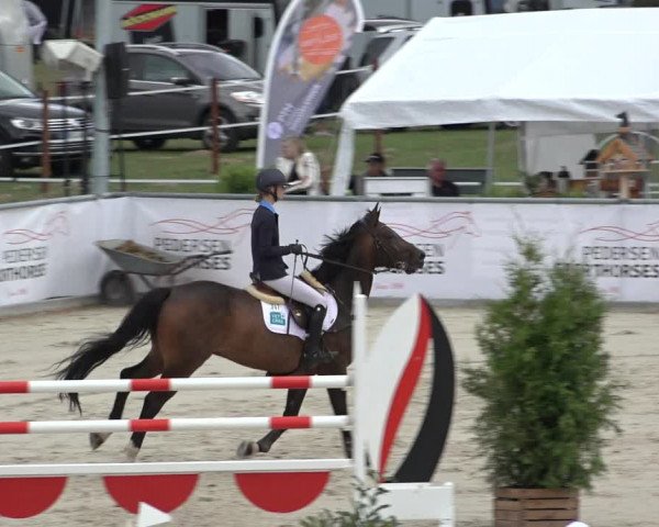 Reitturnier Wildeshausen 2022