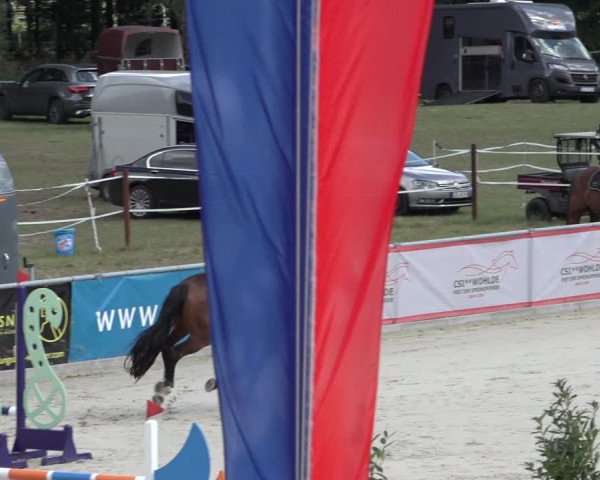 Reitturnier Wildeshausen 2022