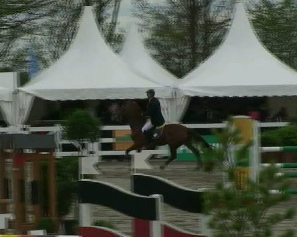 broodmare Fiona (Luxembourg horse, 2005, from For Pleasure)