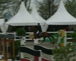 Zuchtstute Fiona (Luxemburgisches Reitpferd, 2005, von For Pleasure)