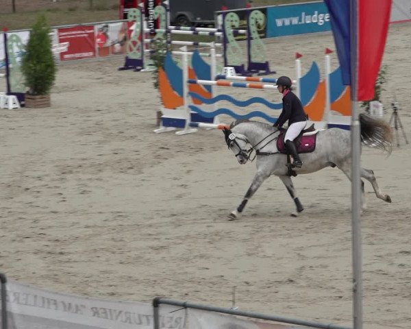 Reitturnier Wildeshausen 2022