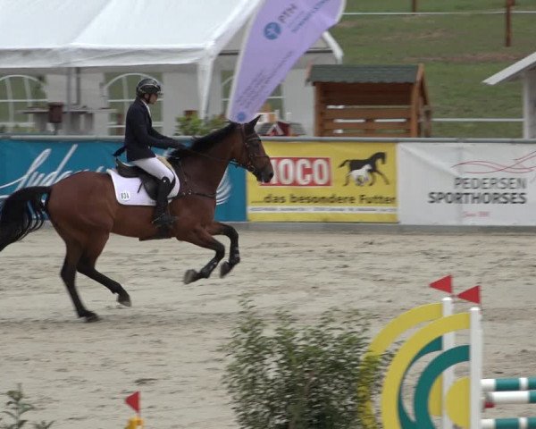 Reitturnier Wildeshausen 2022