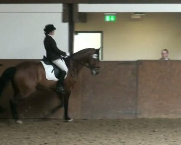 dressage horse Fascino d'Amore (Oldenburg, 2001, from Florestan I)