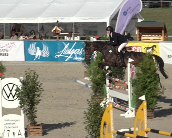 Reitturnier Wildeshausen 2022