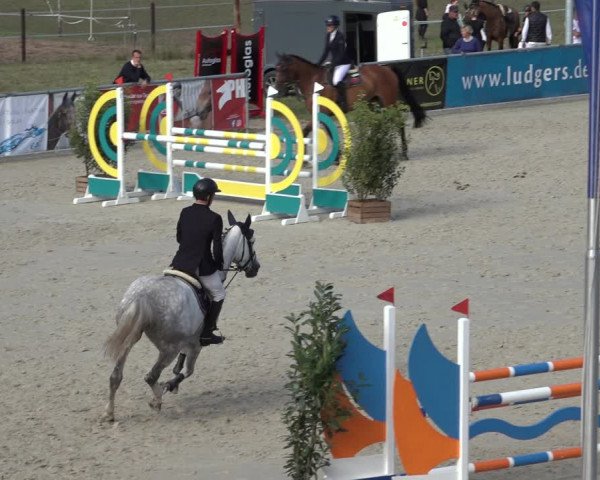 Reitturnier Wildeshausen 2022
