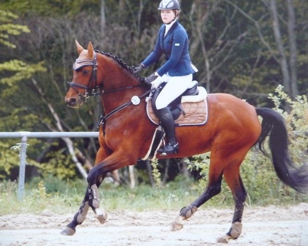 Pferd Dalyne (Brandenburger, 2001, von Don Rosario)
