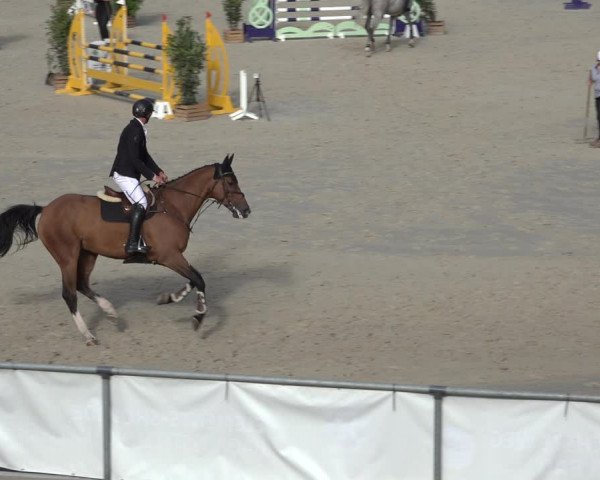 Reitturnier Wildeshausen 2022