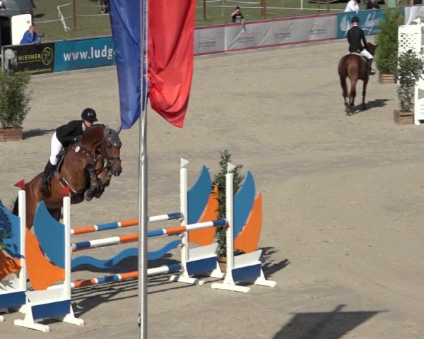 Reitturnier Wildeshausen 2022