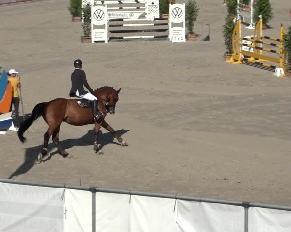 Reitturnier Wildeshausen 2022