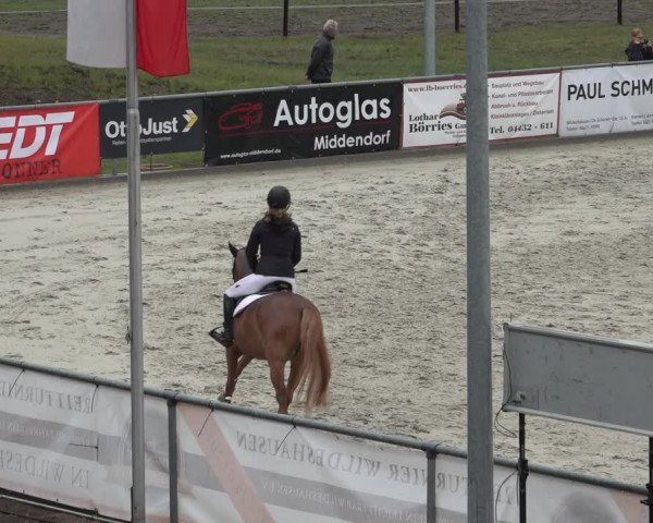 Reitturnier Wildeshausen 2022