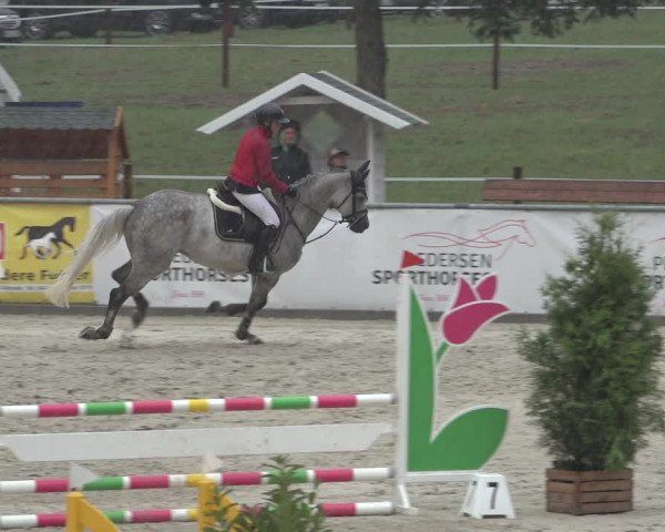Reitturnier Wildeshausen 2022