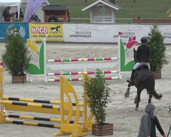Reitturnier Wildeshausen 2022