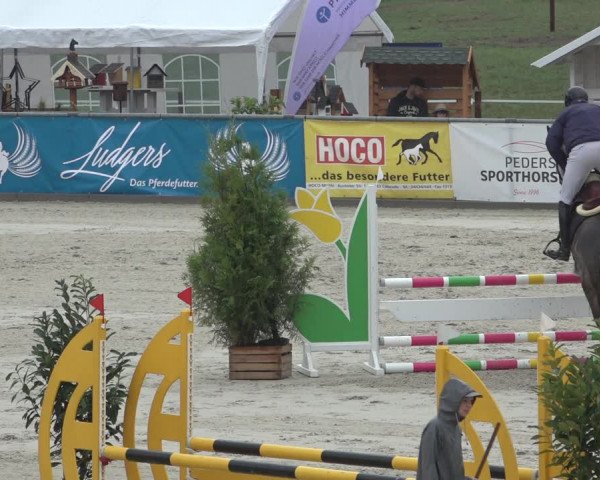 Reitturnier Wildeshausen 2022