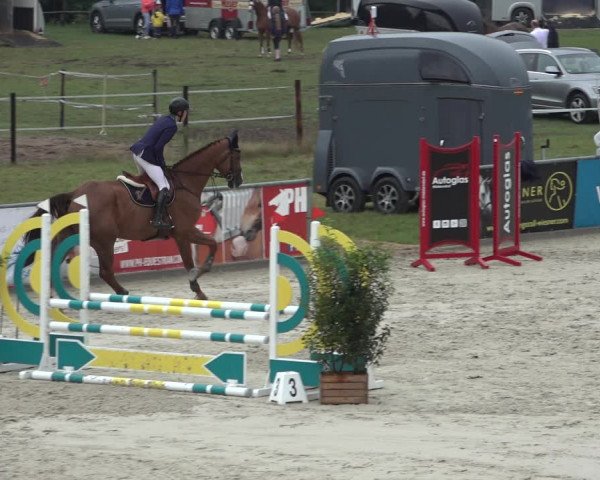 Reitturnier Wildeshausen 2022