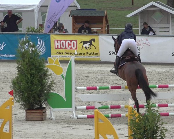 Reitturnier Wildeshausen 2022