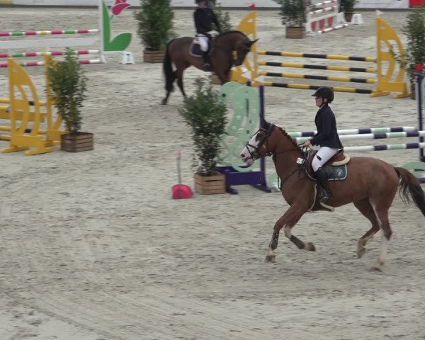 Reitturnier Wildeshausen 2022