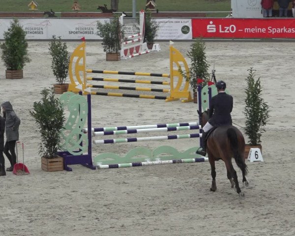 Reitturnier Wildeshausen 2022