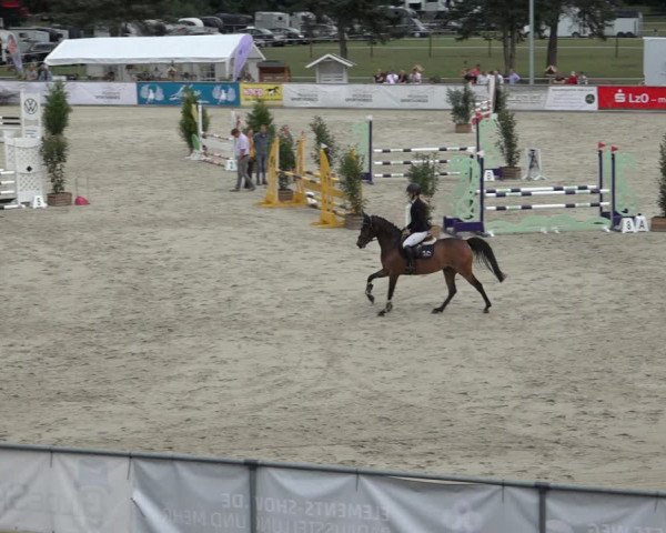 Reitturnier Wildeshausen 2022