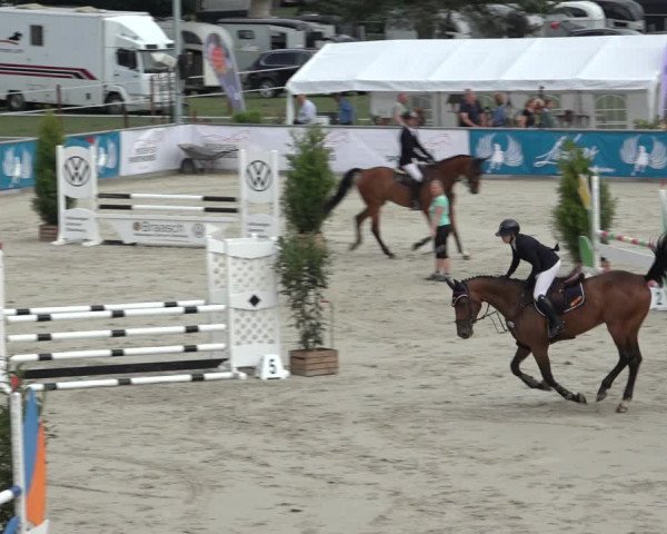 Reitturnier Wildeshausen 2022