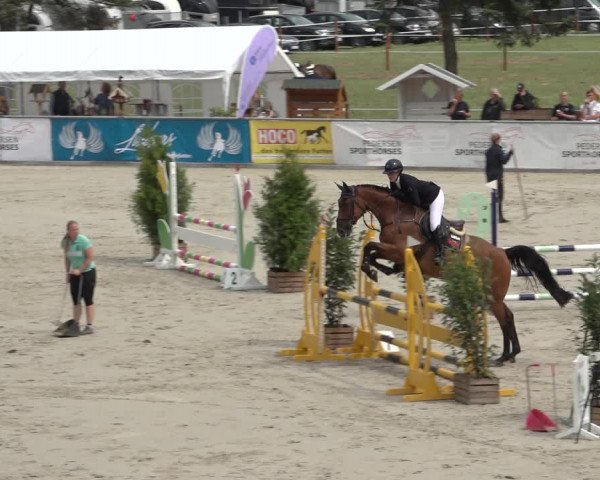 Reitturnier Wildeshausen 2022