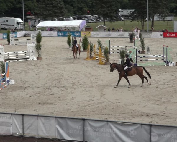 Reitturnier Wildeshausen 2022
