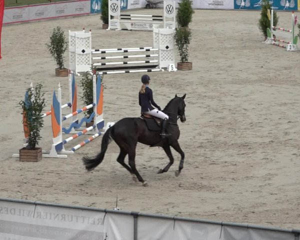 Reitturnier Wildeshausen 2022