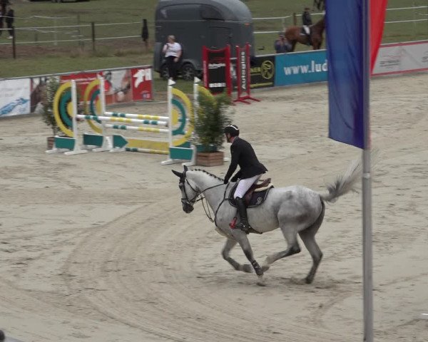 Reitturnier Wildeshausen 2022