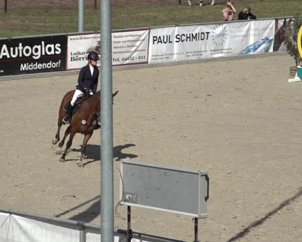 Reitturnier Wildeshausen 2022