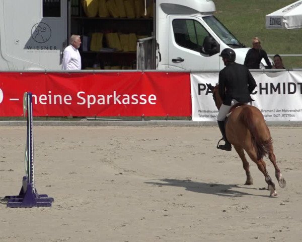 Reitturnier Wildeshausen 2022