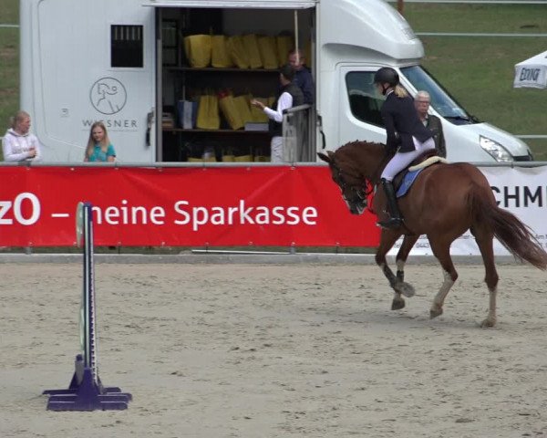 Reitturnier Wildeshausen 2022