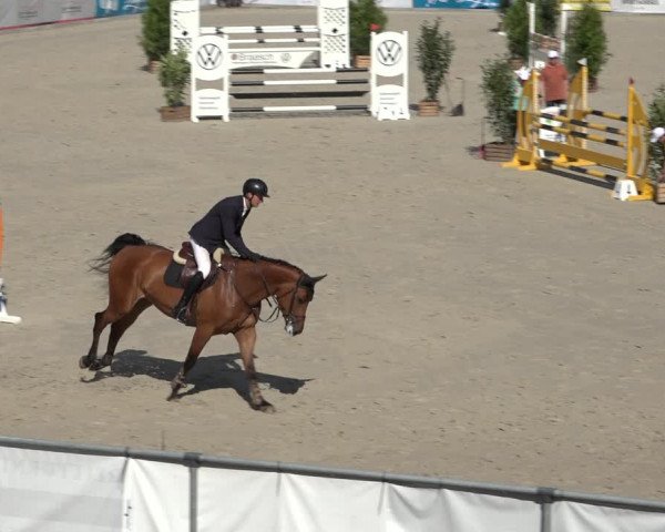 Reitturnier Wildeshausen 2022