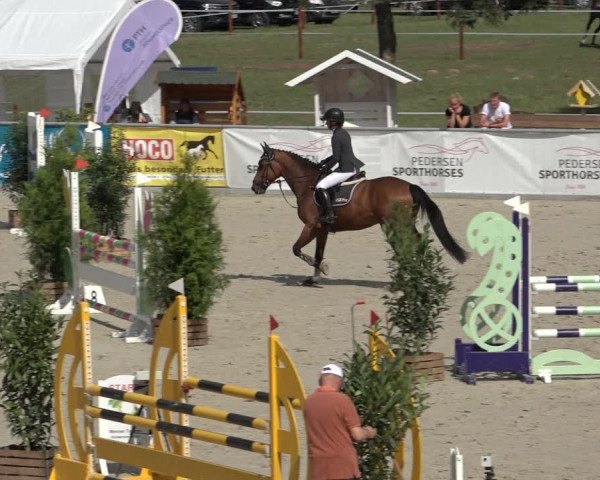 Reitturnier Wildeshausen 2022