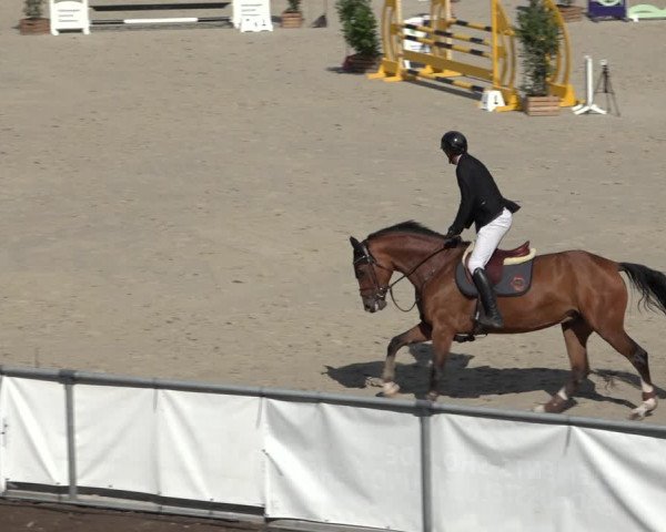 Reitturnier Wildeshausen 2022