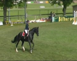 jumper San Diego S 2 (Württemberger, 2005, from Sir Oldenburg)
