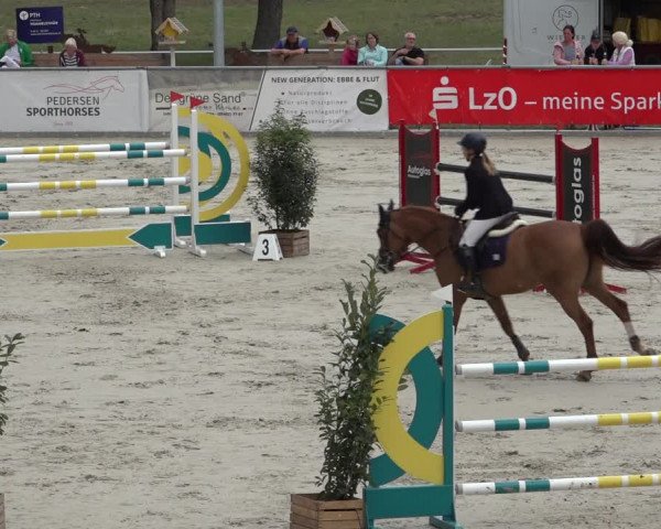 Reitturnier Wildeshausen 2022