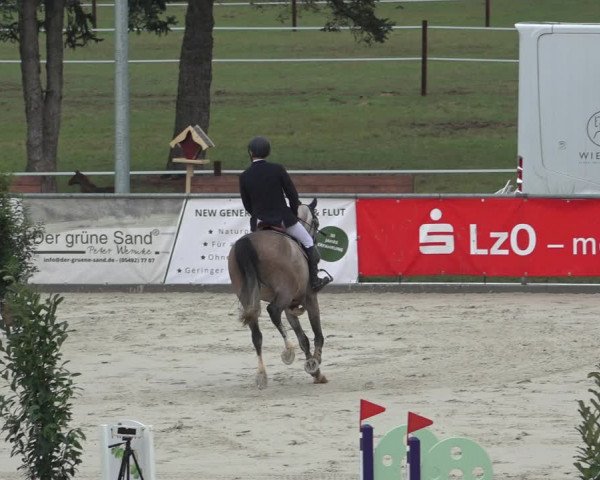 Reitturnier Wildeshausen 2022