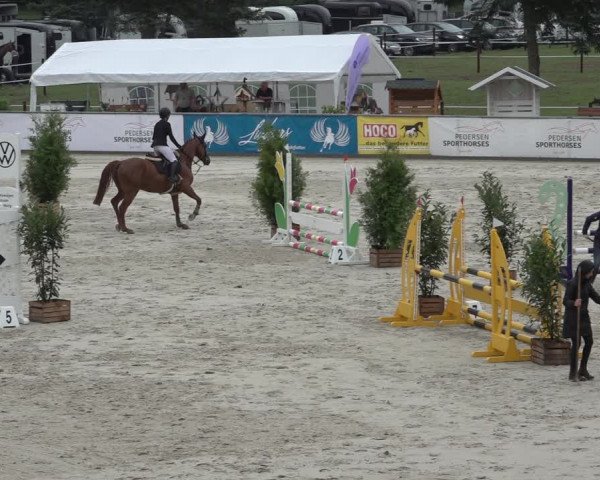 Reitturnier Wildeshausen 2022